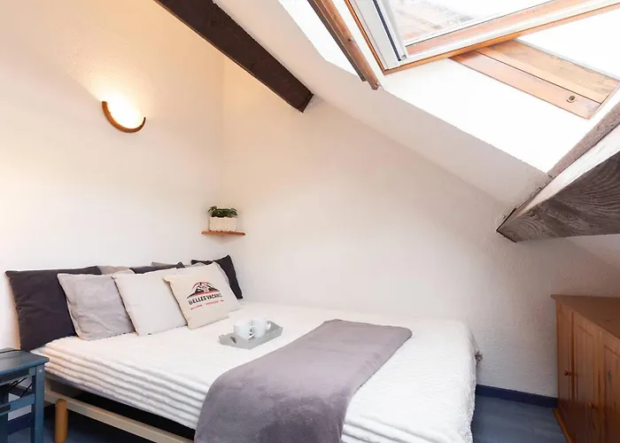 Apartamento T2 4 Pers Lary Village Proche Centre Et Téléphérique - Fr-1-296-479 Saint-Lary-Soulan